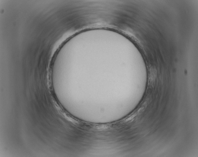 X0000067521278200605051845