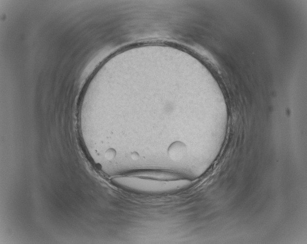 X0000067521279200605051845