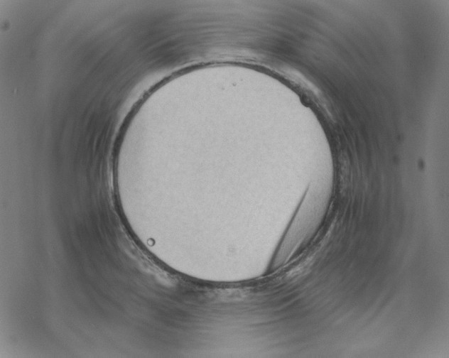 X0000067521280200605051845