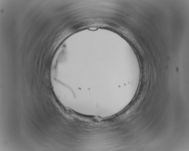 X0000067521281200605051845