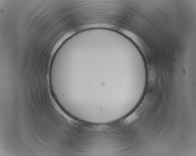 X0000067521282200605051845