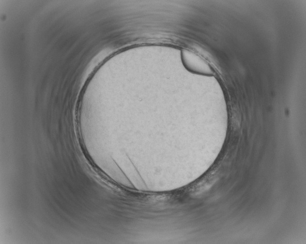 X0000067521283200605051845