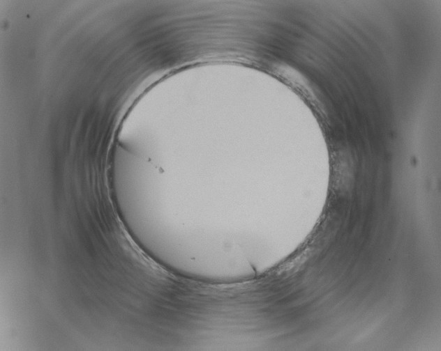 X0000067521284200605051845