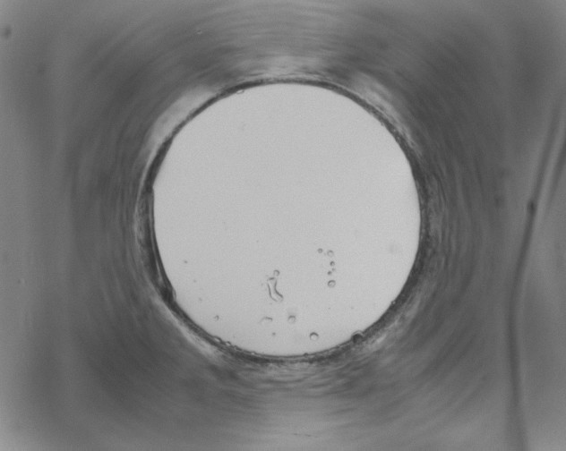 X0000067521285200605051845