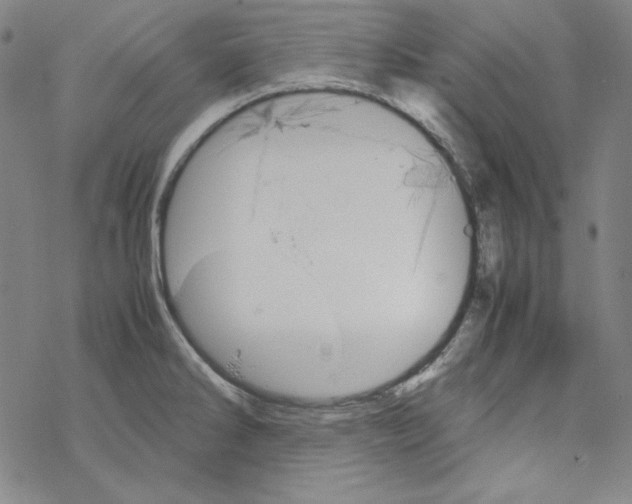 X0000067521286200605051845