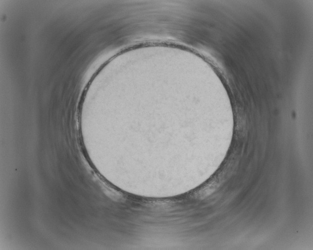 X0000067521287200605051845