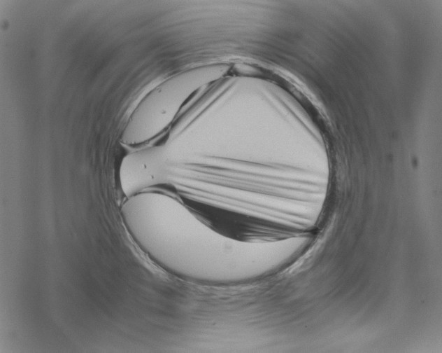 X0000067521289200605051845