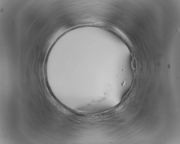 X0000067521291200605051845