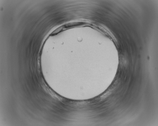 X0000067521292200605051845