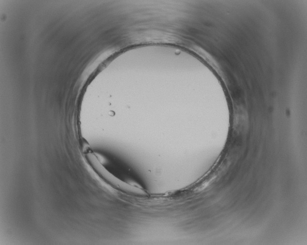 X0000067521293200605051845