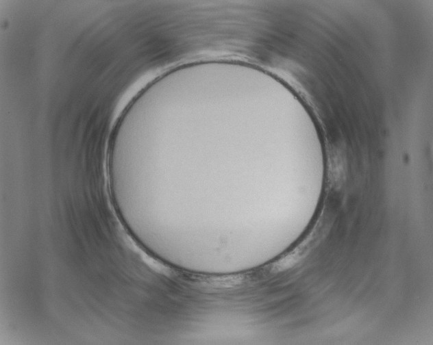 X0000067521294200605051845