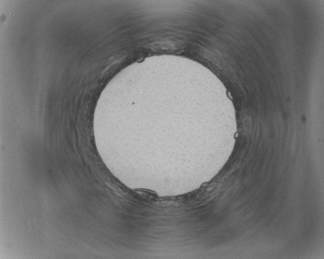 X0000067521297200605051844