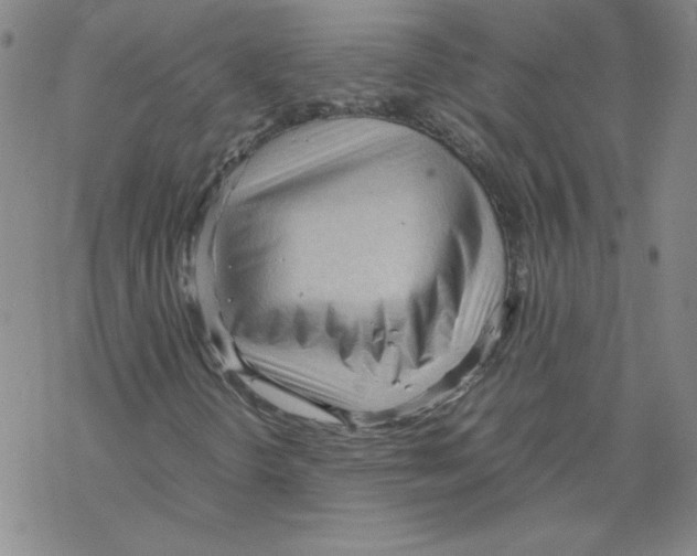 X0000067521298200605051844