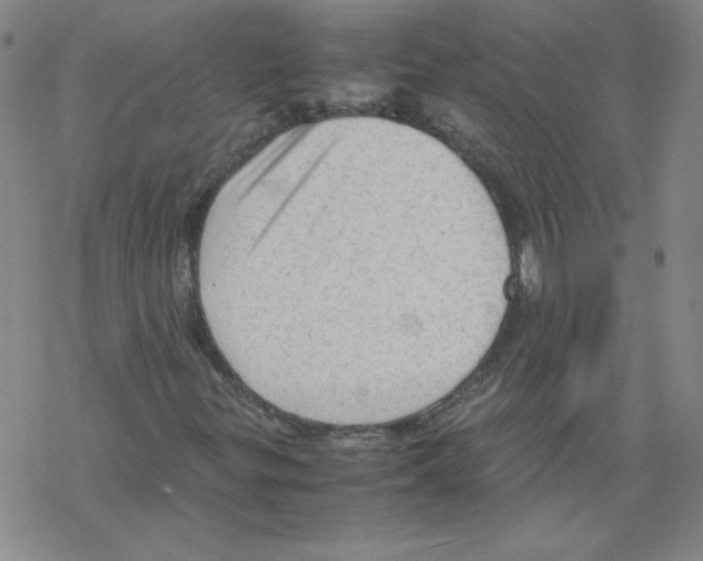 X0000067521299200605051844