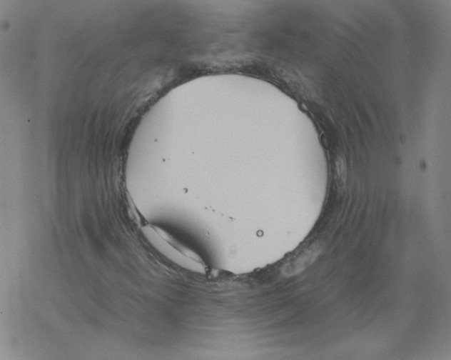 X0000067521300200605051844