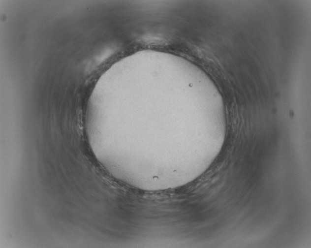 X0000067521301200605051844