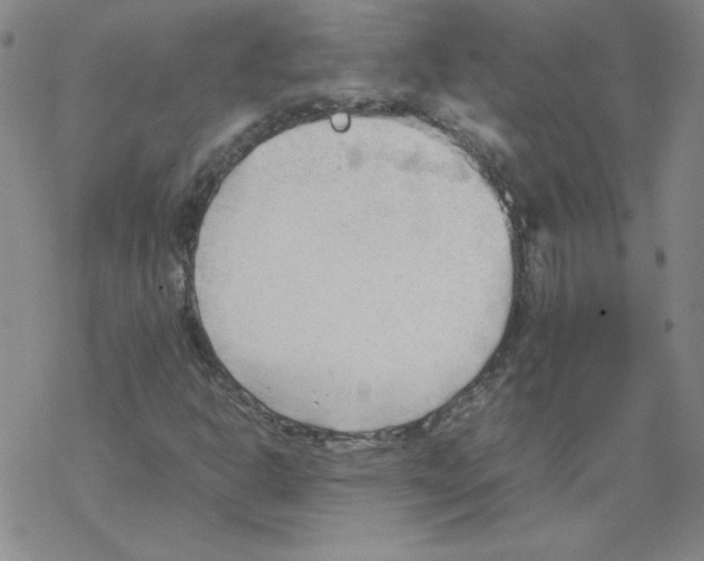 X0000067521302200605051844