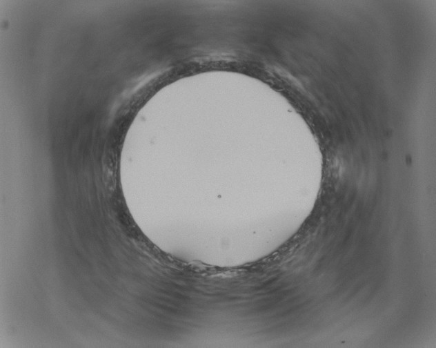 X0000067521303200605051844