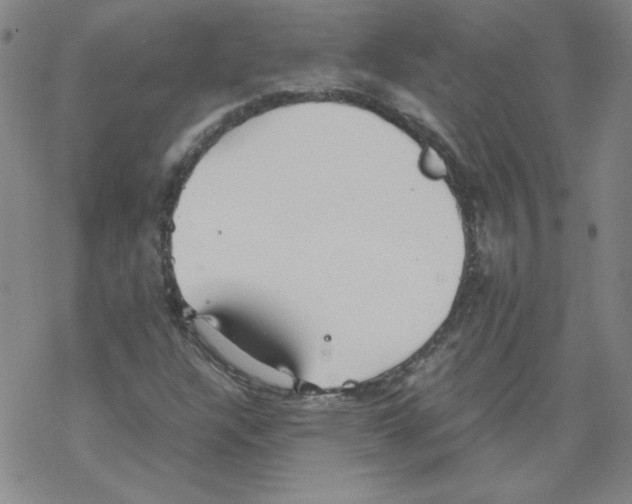 X0000067521304200605051844