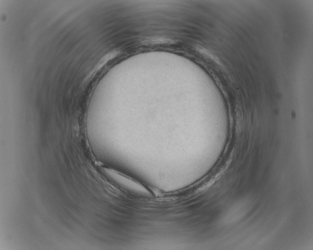 X0000067521305200605051844