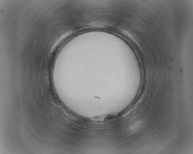 X0000067521307200605051844