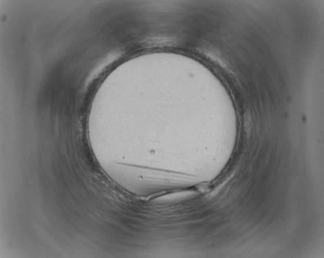 X0000067521309200605051844