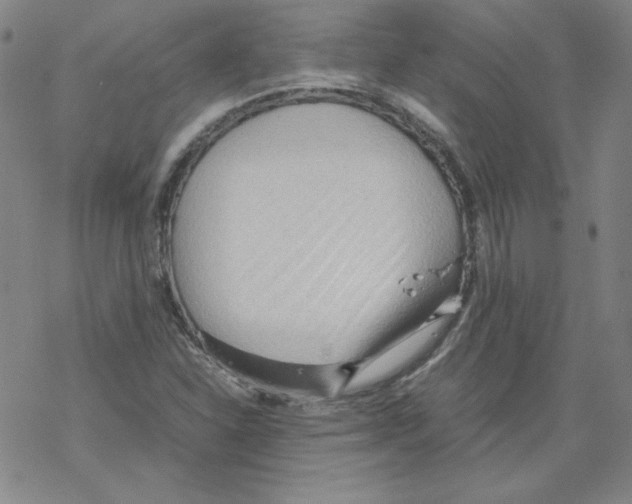 X0000067521310200605051844