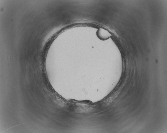 X0000067521311200605051844