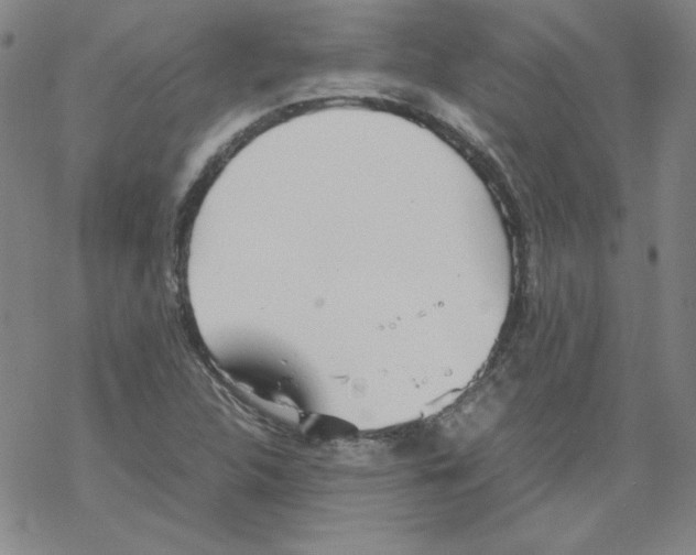 X0000067521312200605051844