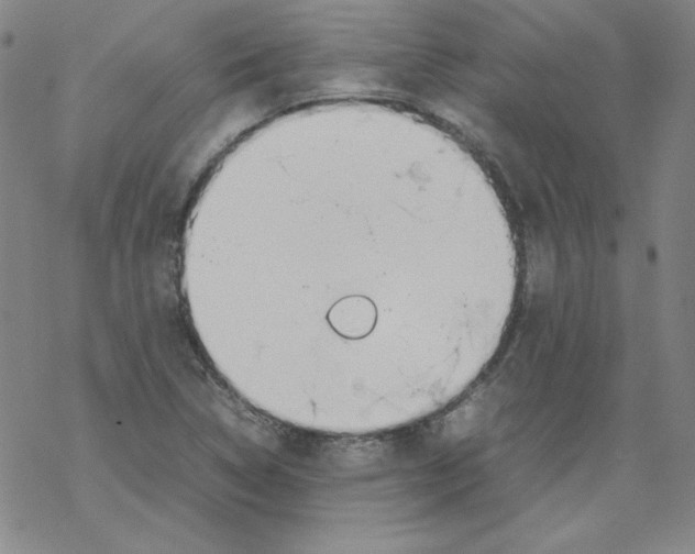 X0000067521314200605051844