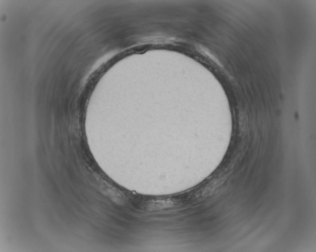 X0000067521315200605051844