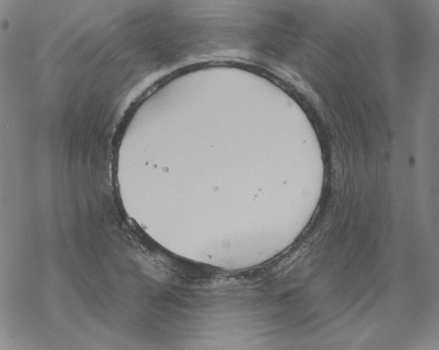 X0000067521316200605051844