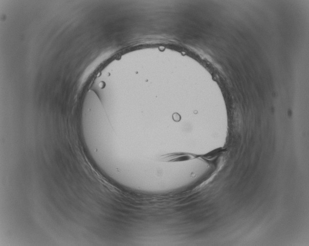 X0000067521317200605051844