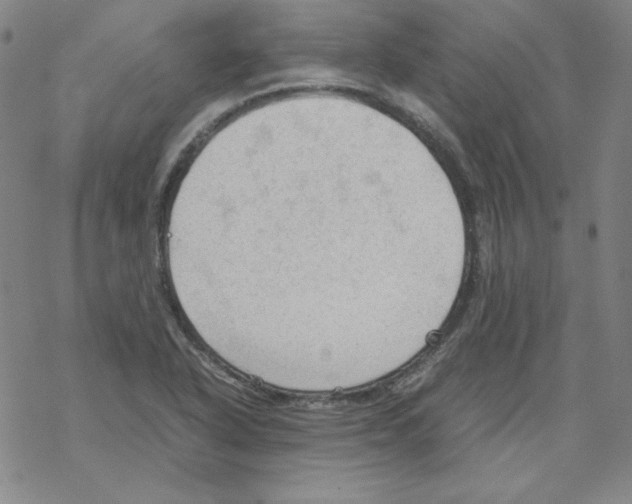 X0000067521318200605051844