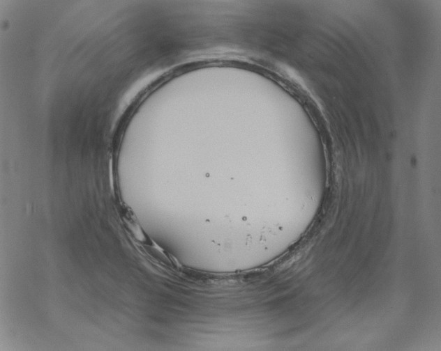 X0000067521320200605051844