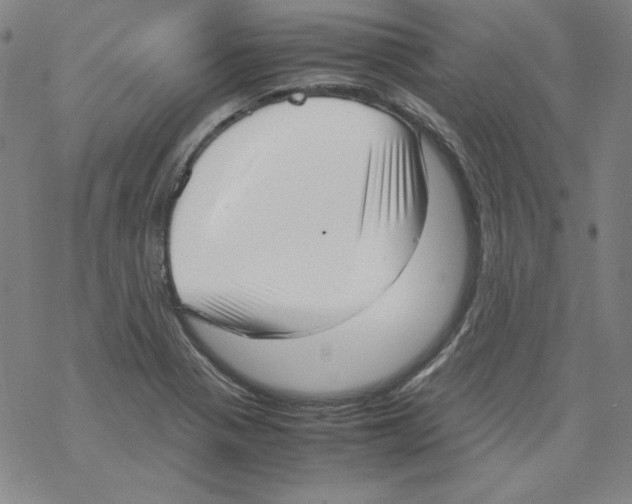 X0000067521321200605051844