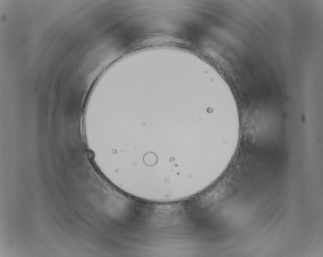 X0000067521322200605051844