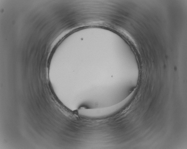 X0000067521324200605051844