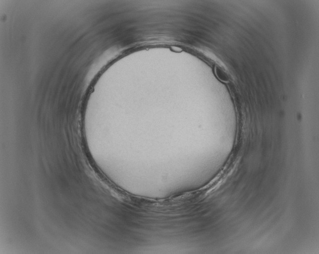 X0000067521325200605051844