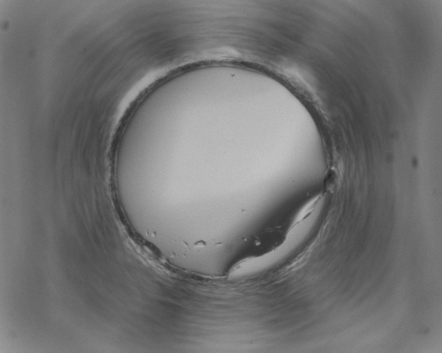 X0000067521326200605051844