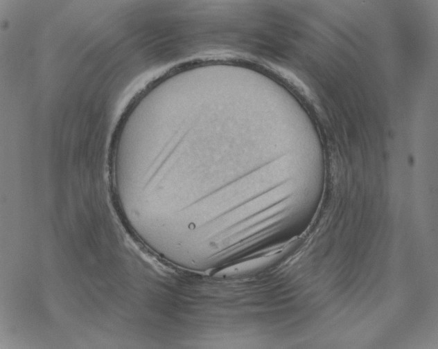 X0000067521327200605051844