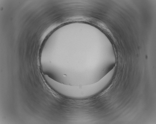 X0000067521328200605051844