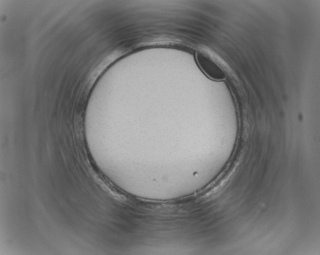 X0000067521329200605051844