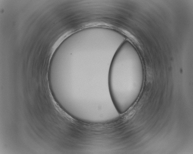 X0000067521330200605051845