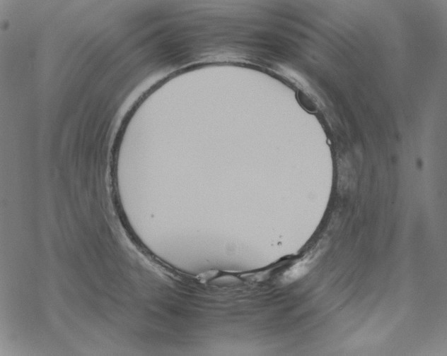 X0000067521331200605051845