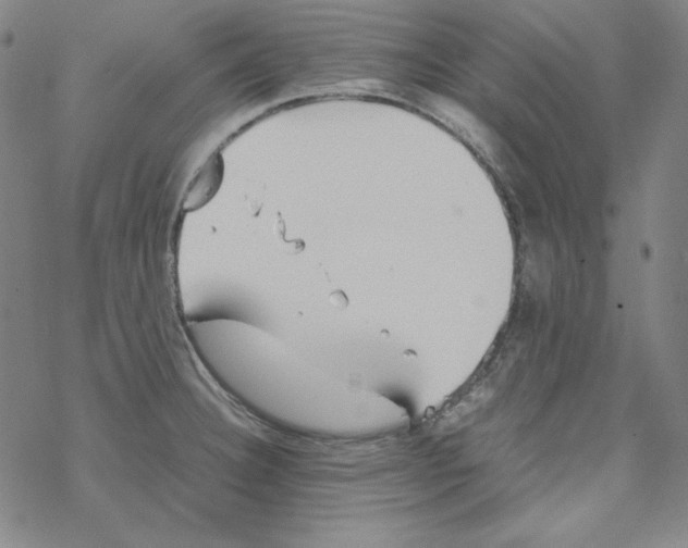 X0000067521332200605051845