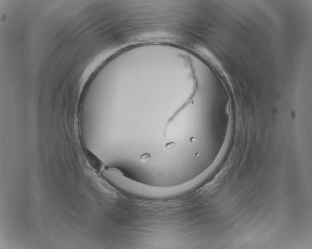 X0000067521336200605051845