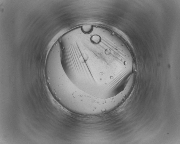 X0000067521338200605051845