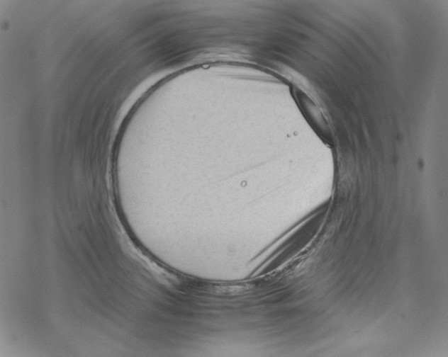 X0000067521339200605051845