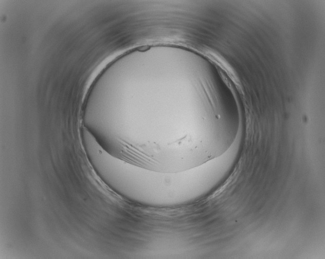 X0000067521340200605051845